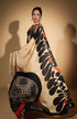 Printed Saree