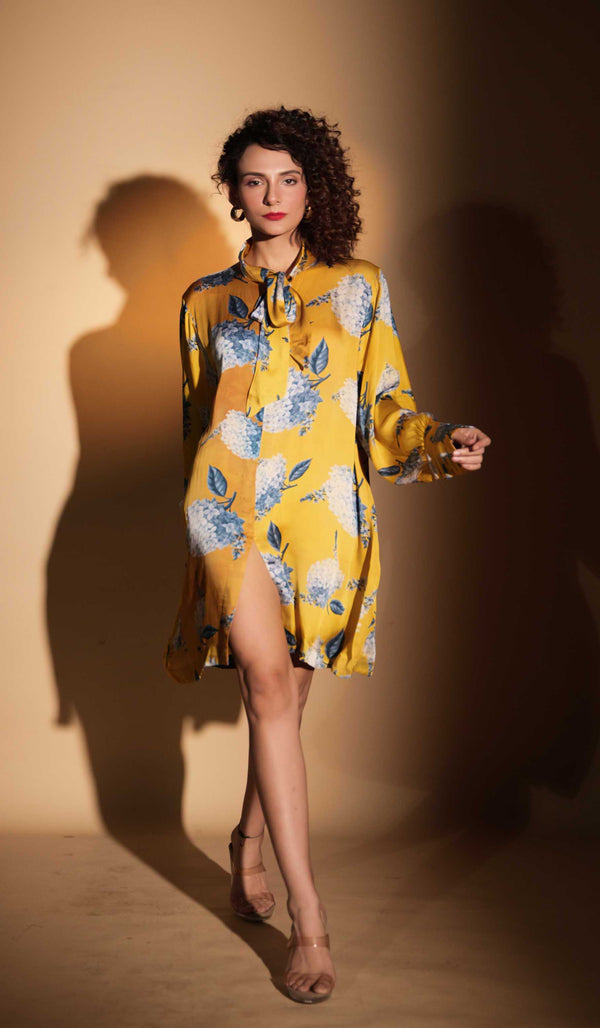 Printed Shirt Dress
