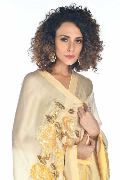 Embroidered Saree